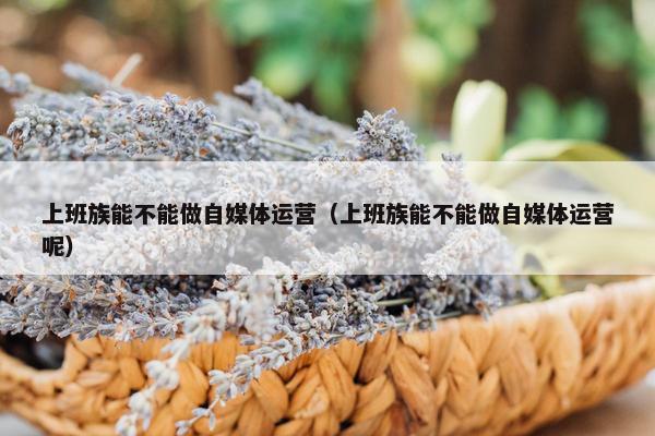 上班族能不能做自媒体运营（上班族能不能做自媒体运营呢）