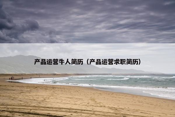 产品运营牛人简历（产品运营求职简历）