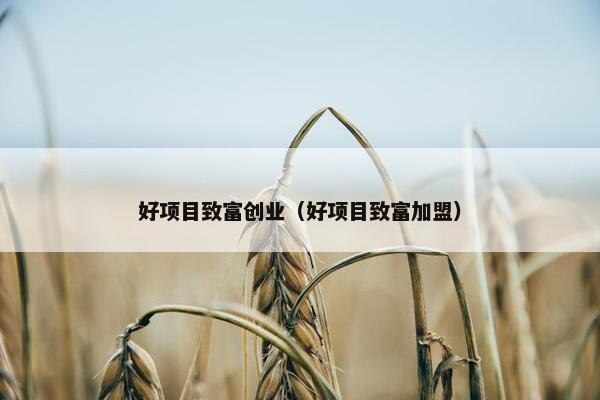 好项目致富创业（好项目致富加盟）