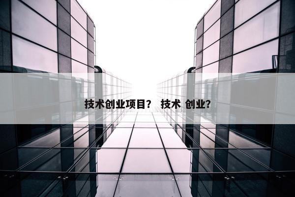 技术创业项目？ 技术 创业？
