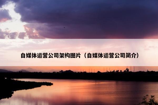 自媒体运营公司架构图片（自媒体运营公司简介）