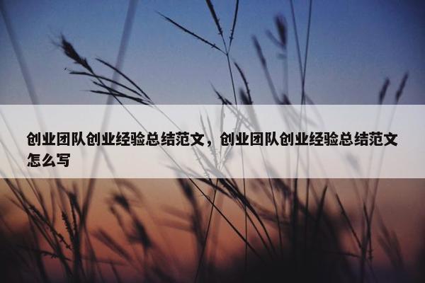 创业团队创业经验总结范文，创业团队创业经验总结范文怎么写
