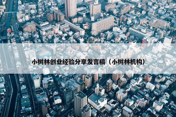小树林创业经验分享发言稿（小树林机构）