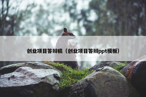 创业项目答辩稿（创业项目答辩ppt模板）