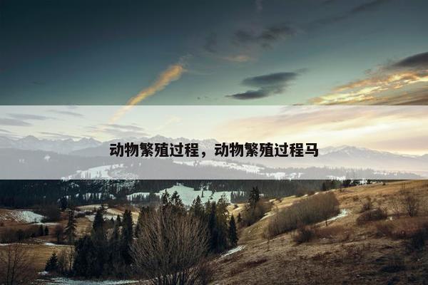动物繁殖过程，动物繁殖过程马