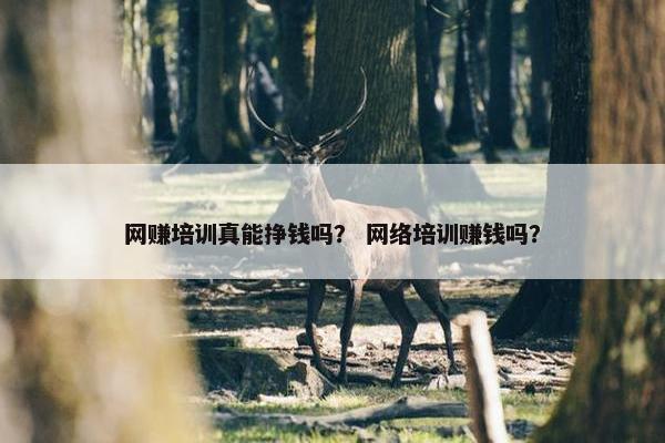 网赚培训真能挣钱吗？ 网络培训赚钱吗？
