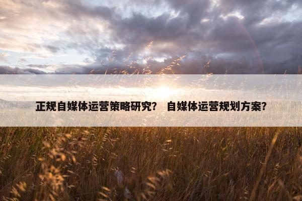 正规自媒体运营策略研究？ 自媒体运营规划方案？