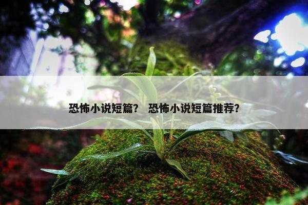 恐怖小说短篇？ 恐怖小说短篇推荐？
