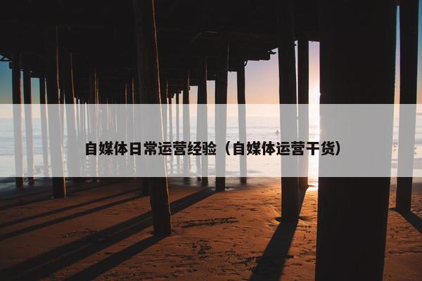 自媒体日常运营经验（自媒体运营干货）