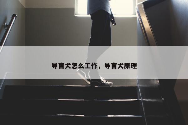 导盲犬怎么工作，导盲犬原理