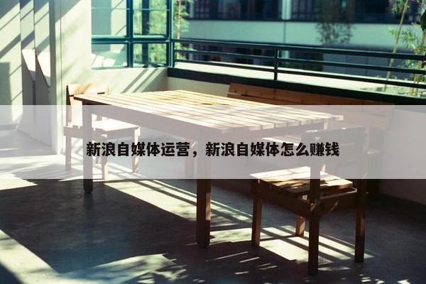 新浪自媒体运营，新浪自媒体怎么赚钱