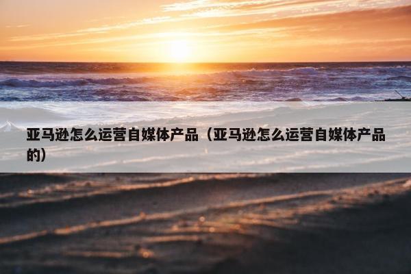 亚马逊怎么运营自媒体产品（亚马逊怎么运营自媒体产品的）