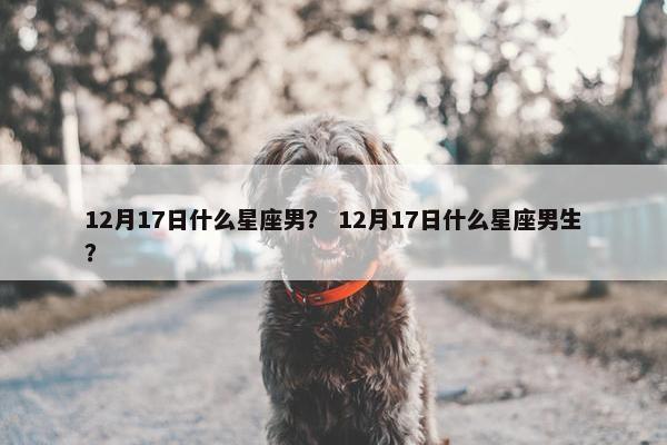 12月17日什么星座男？ 12月17日什么星座男生？