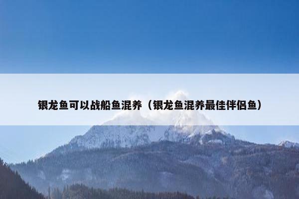 银龙鱼可以战船鱼混养（银龙鱼混养最佳伴侣鱼）