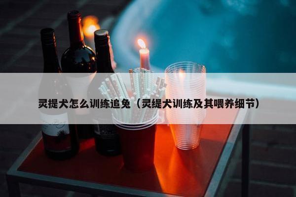 灵提犬怎么训练追兔（灵缇犬训练及其喂养细节）