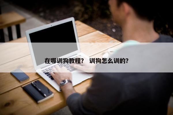 在哪训狗教程？ 训狗怎么训的？
