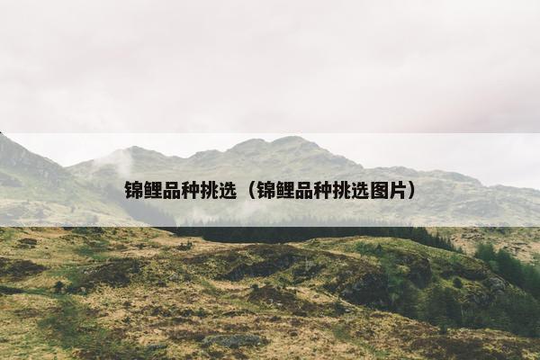 锦鲤品种挑选（锦鲤品种挑选图片）