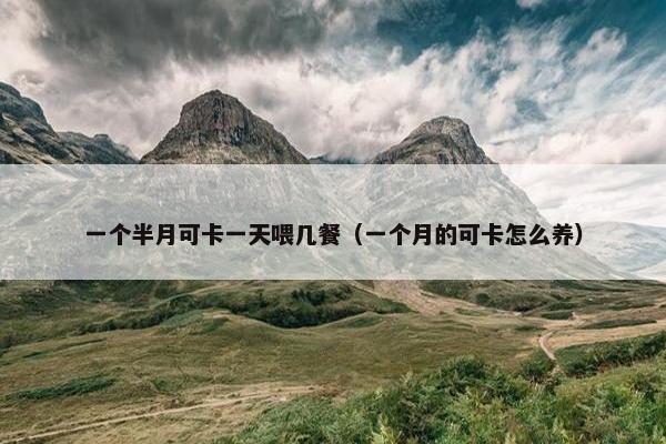 一个半月可卡一天喂几餐（一个月的可卡怎么养）