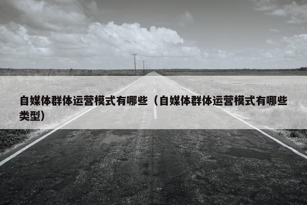 自媒体群体运营模式有哪些（自媒体群体运营模式有哪些类型）