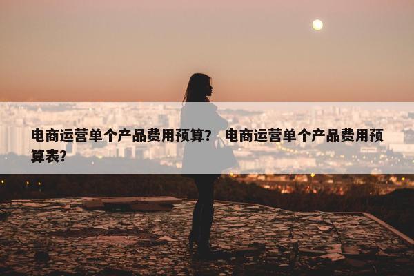 电商运营单个产品费用预算？ 电商运营单个产品费用预算表？