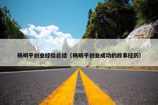 杨明平创业经验总结（杨明平创业成功的故事经历）