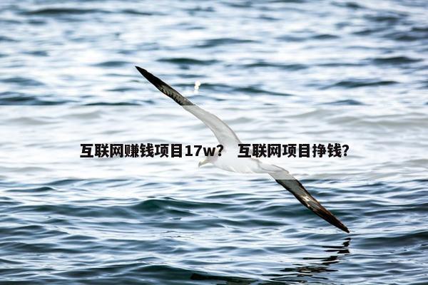互联网赚钱项目17w？ 互联网项目挣钱？