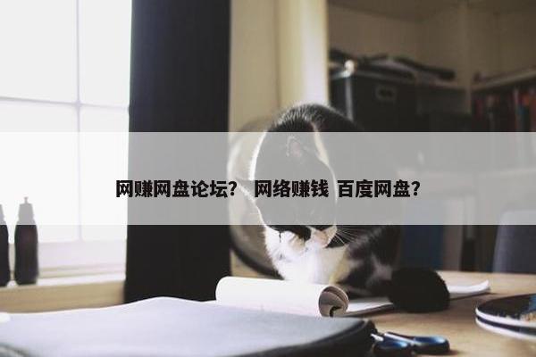 网赚网盘论坛? 网络赚钱 百度网盘? 网赚网盘论坛? 网络赚钱 百度网盘?