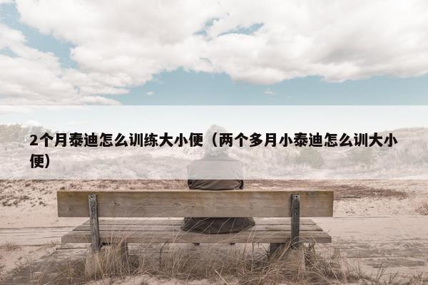 2个月泰迪怎么训练大小便（两个多月小泰迪怎么训大小便）