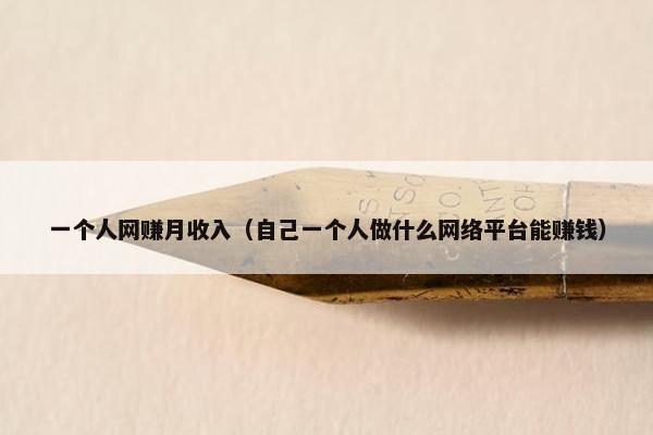 一个人网赚月收入（自己一个人做什么网络平台能赚钱）