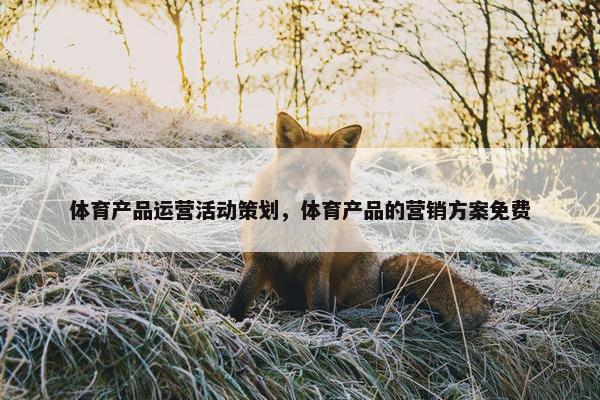 体育产品运营活动策划，体育产品的营销方案免费