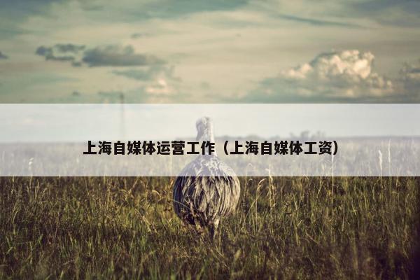 上海自媒体运营工作（上海自媒体工资）