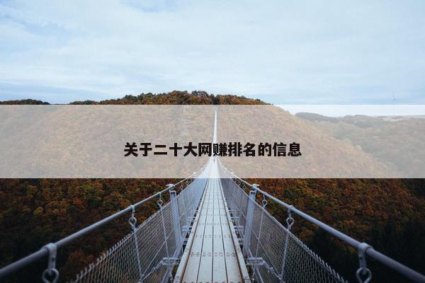 关于二十大网赚排名的信息