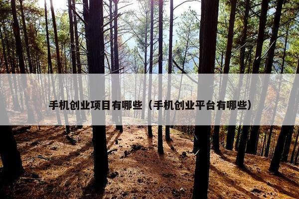 手机创业项目有哪些（手机创业平台有哪些）