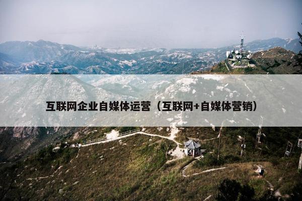 互联网企业自媒体运营（互联网+自媒体营销）