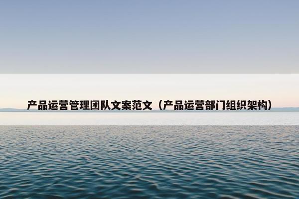 产品运营管理团队文案范文（产品运营部门组织架构）