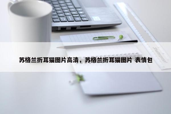苏格兰折耳猫图片高清，苏格兰折耳猫图片 表情包