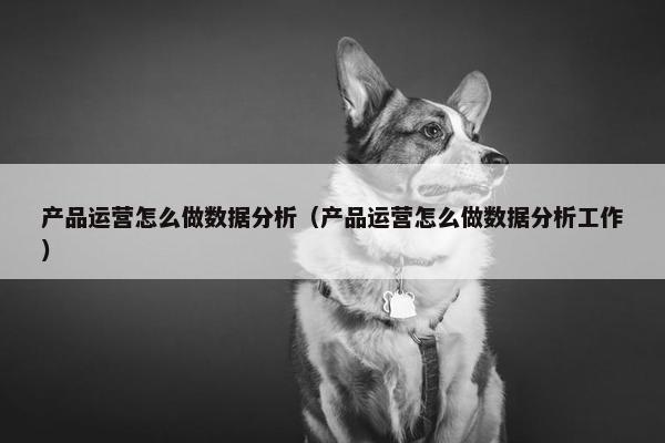 产品运营怎么做数据分析（产品运营怎么做数据分析工作）