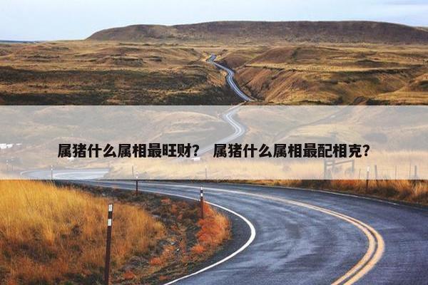 属猪什么属相最旺财？ 属猪什么属相最配相克？