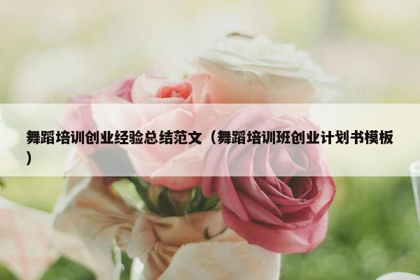 舞蹈培训创业经验总结范文（舞蹈培训班创业计划书模板）