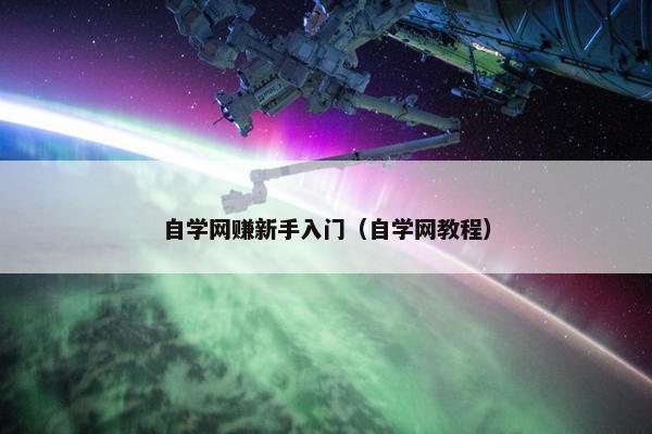 自学网赚新手入门（自学网教程）