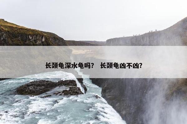 长颈龟深水龟吗？ 长颈龟凶不凶？