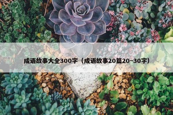成语故事大全300字（成语故事20篇20~30字）