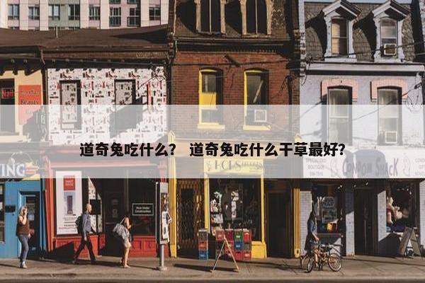 道奇兔吃什么？ 道奇兔吃什么干草最好？