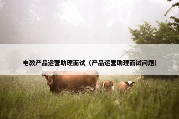 电教产品运营助理面试（产品运营助理面试问题）