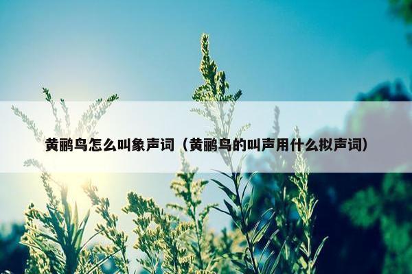 黄鹂鸟怎么叫象声词（黄鹂鸟的叫声用什么拟声词）