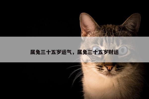 属兔三十五岁运气，属兔三十五岁财运