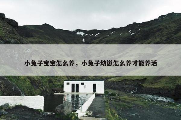 小兔子宝宝怎么养，小兔子幼崽怎么养才能养活