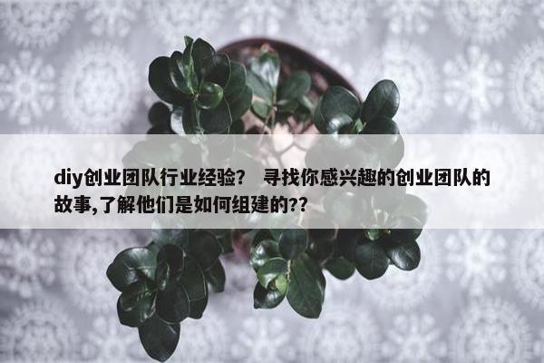 diy创业团队行业经验？ 寻找你感兴趣的创业团队的故事,了解他们是如何组建的?？