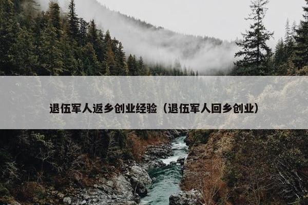 退伍军人返乡创业经验（退伍军人回乡创业）