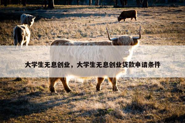 大学生无息创业，大学生无息创业贷款申请条件